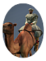 Camel Warriors