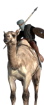 Mercenary Camel Warriors