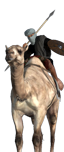 Guerriers à dos de chameaux
