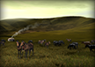 Cattle Herders