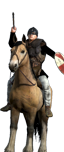 Nordic Raiders