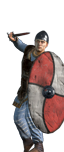 Nordic Warriors