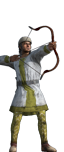 Persian Bows
