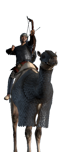 Persian Camel Archers