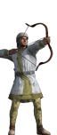 Persian Bows