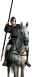 Contarii