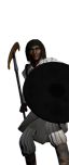 Wojownicy T'or