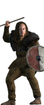 Nordic Brigands