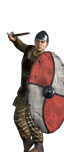 Nordic Warriors