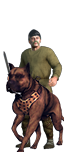 Warhounds