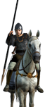 Contarii