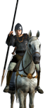 Contarii