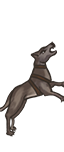 Gazehounds