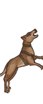 Cani da guerra