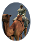 french_rep_egy_cav_light_bedouin_camel_w...s_icon.png