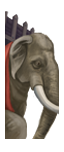 Indian War Elephants