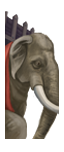 Éléphants de guerre d'Inde