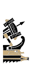 Roman Light Artillery Quinquereme - Dacian Ballista (Ship)