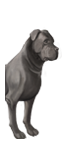 Savage Dogs