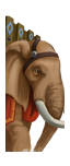 Auxiliary African Elephants