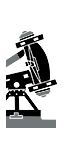Celtic Giant Ballista