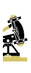 Roman Giant Ballista
