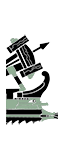 Roman Light Artillery Quinquereme - Celtic Ballista (Ship)