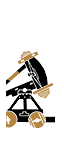 Celtic Ballista