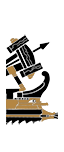 Roman Light Artillery Quinquereme - Celtic Ballista (Ship)