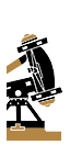Celtic Giant Ballista