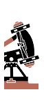 Celtic Giant Ballista