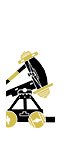 Celtic Ballista