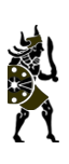 Nuragic Warriors
