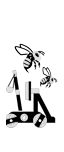 Římský onager se včelími hnízdy