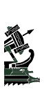 Roman Light Artillery Quinquereme - Celtic Ballista (Ship)