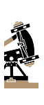 Iberian Giant Ballista