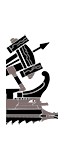 Roman Light Artillery Quinquereme - German Ballista (Ship)