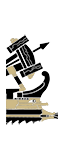Roman Light Artillery Quinquereme - Celtic Ballista (Ship)
