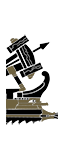 Roman Light Artillery Quinquereme - Celtic Ballista (Ship)