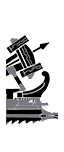Light Artillery Penteres - Greek Ballista (Ship)