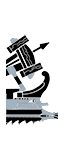 Light Artillery Penteres - Greek Ballista (Ship)