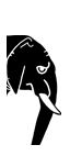 Auxiliary African Elephants