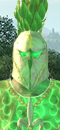 Yeşil Şövalye (Gölgeküheylan)