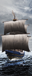 Пиратский корабль - Ополчение (древковое оружие)